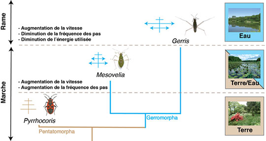 Image retirée.