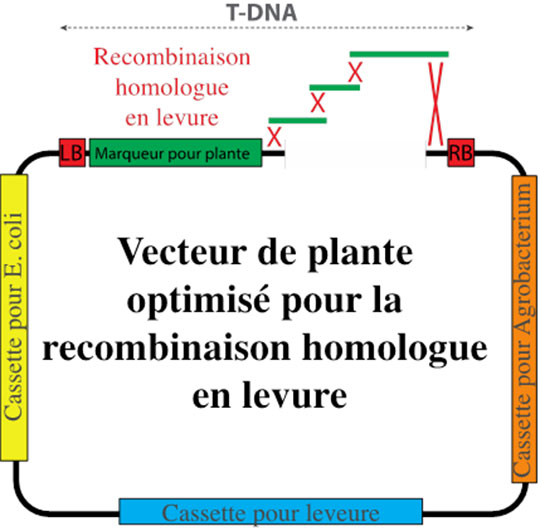 Image retirée.