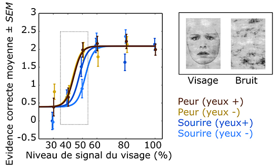 Image retirée.