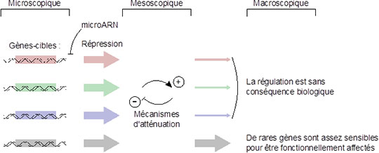 Image retirée.