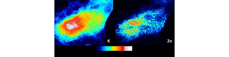 figure1_bouron