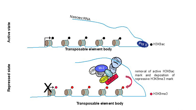 figure4