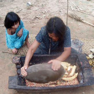 Learning a mother tongue: A universal process ?