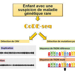 Une nouvelle méthode pour le diagnostic rapide et peu onéreux des maladies génétiques